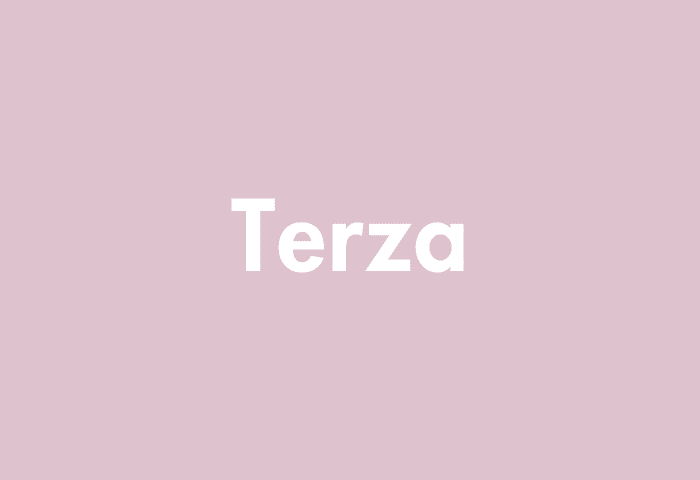 Terza meaning
