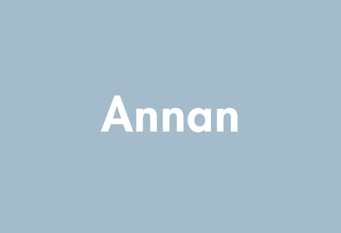 Annan meaning