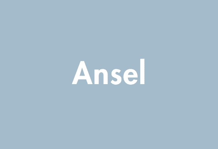 Ansel meaning