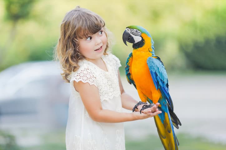 Bird-Inspired Baby Names