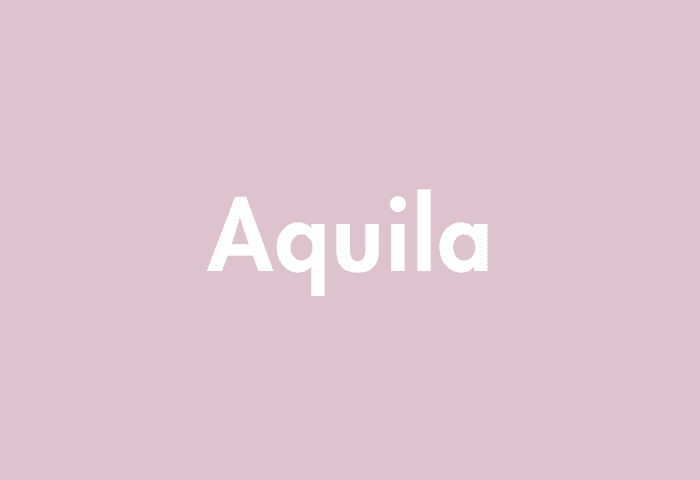 Aquila meaning