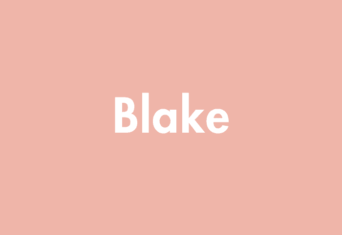 Blake meaning