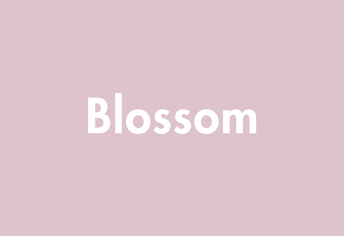 Blossom meaning