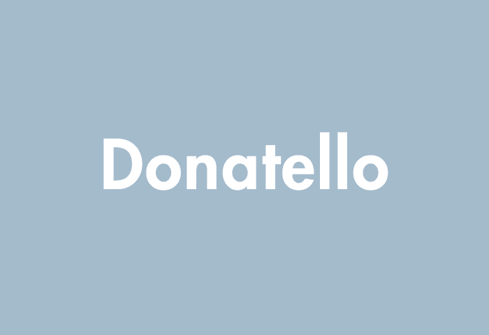 Donatello meaning