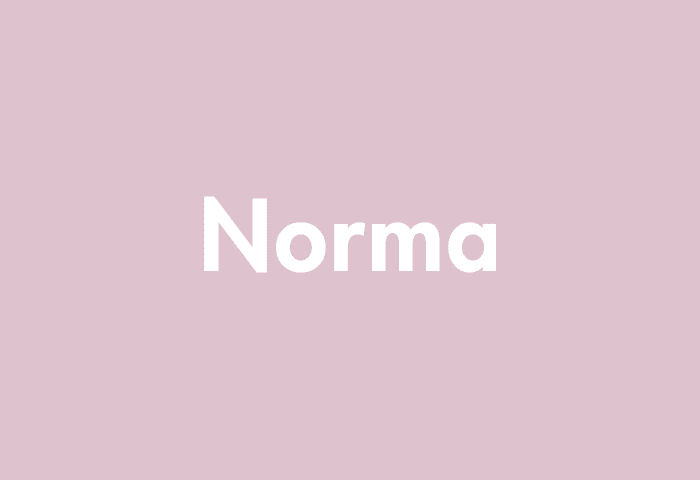 Norma meaning