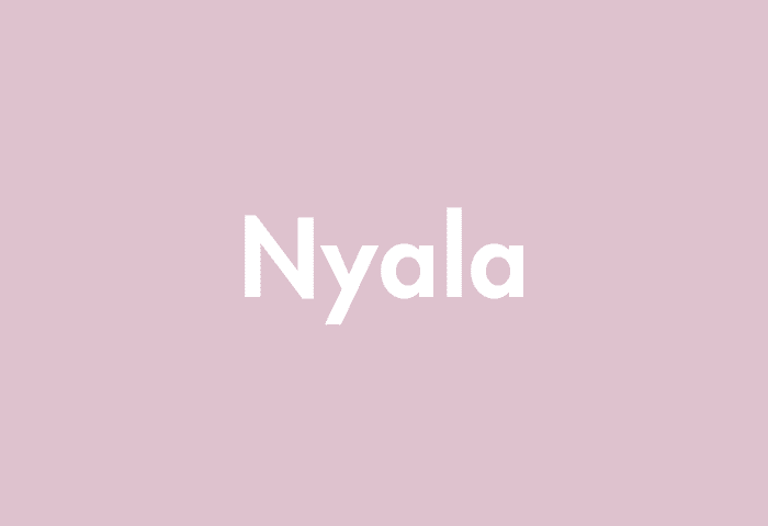 Nyala meaning