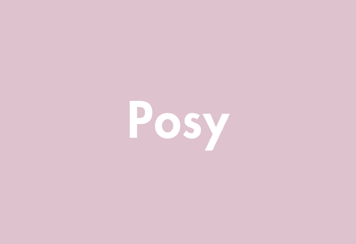 Posy meaning