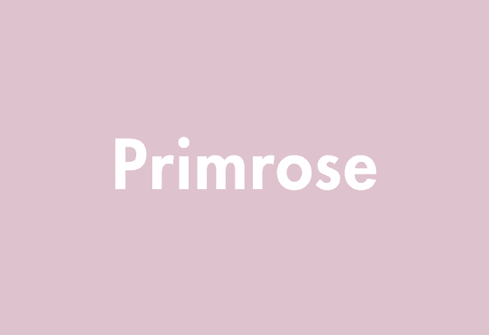Primrose meaning