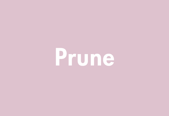 Prune meaning