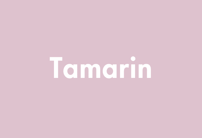 Tamarin meaning