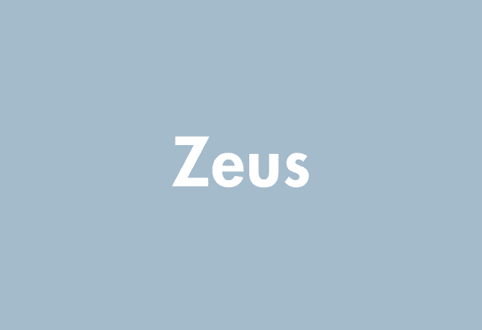 Zeus meaning