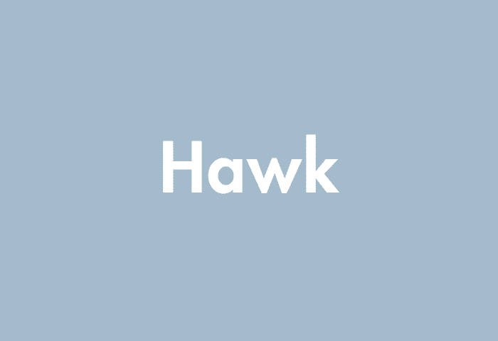 Hawk meaning
