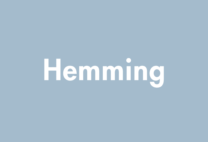 Hemming meaning