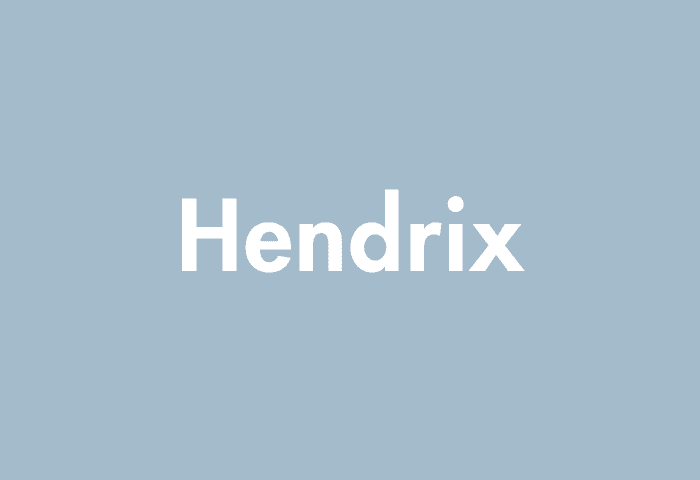 Hendrix meaning