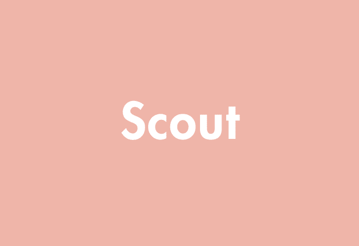 Scout meaning