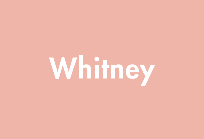 Whitney meaning