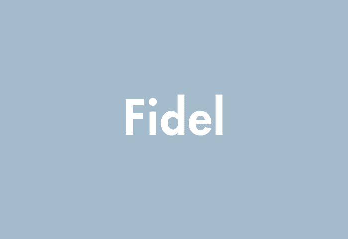 fidel name meaning
